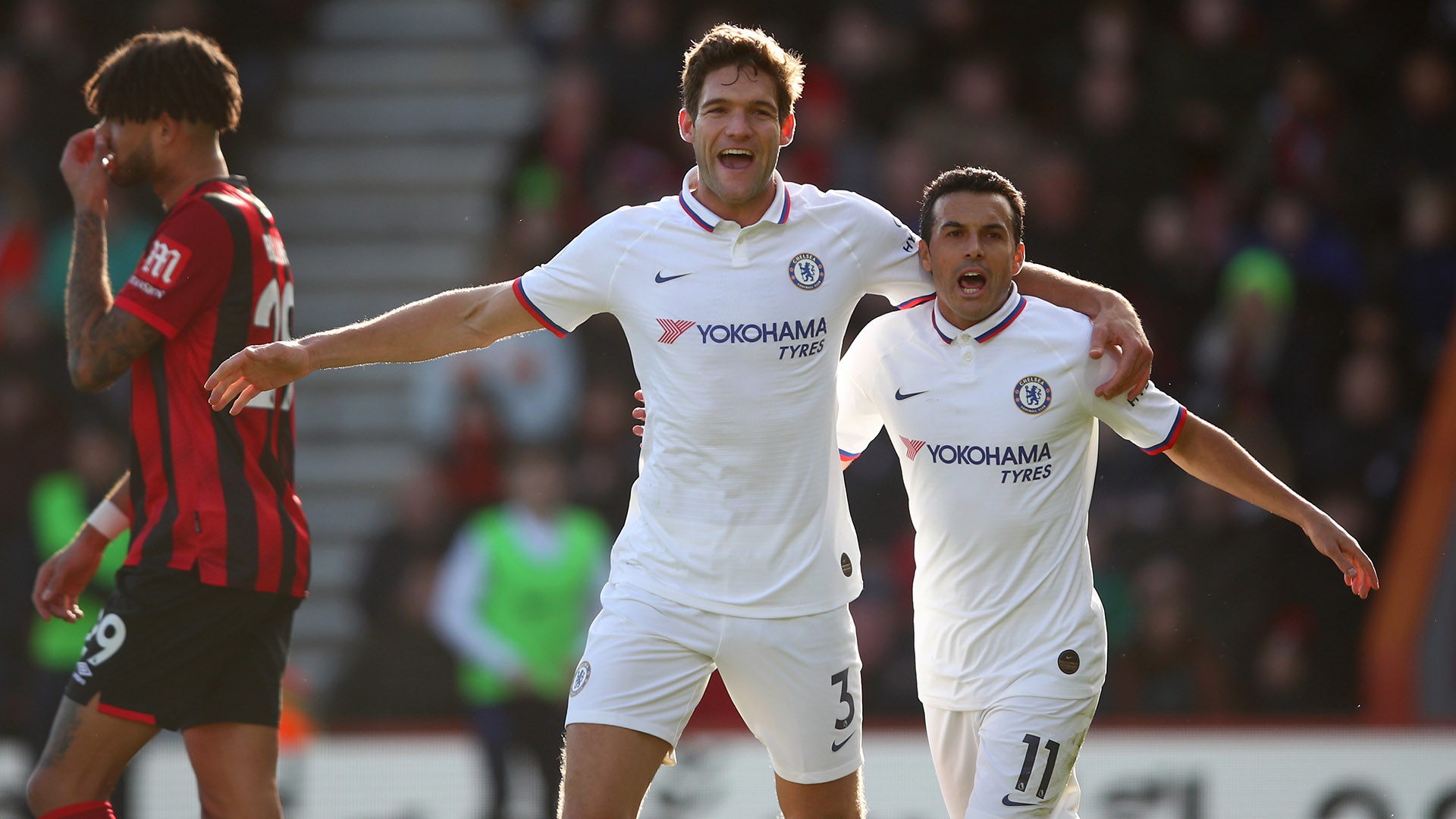 日处理10T动物油熬练生产线